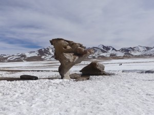 arbol-piedra-bolivia-snow-1